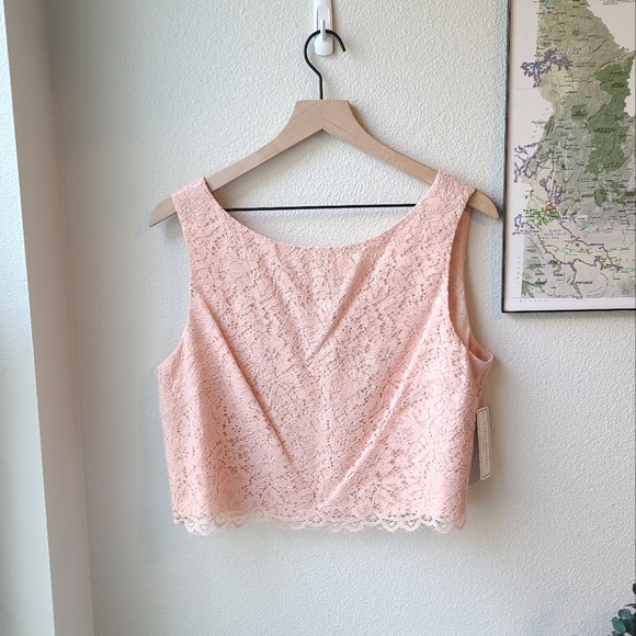 Donna Morgan Tops - NWT Donna Morgan Pearl Pink Eyelash Lace Crop Sleeveless Top